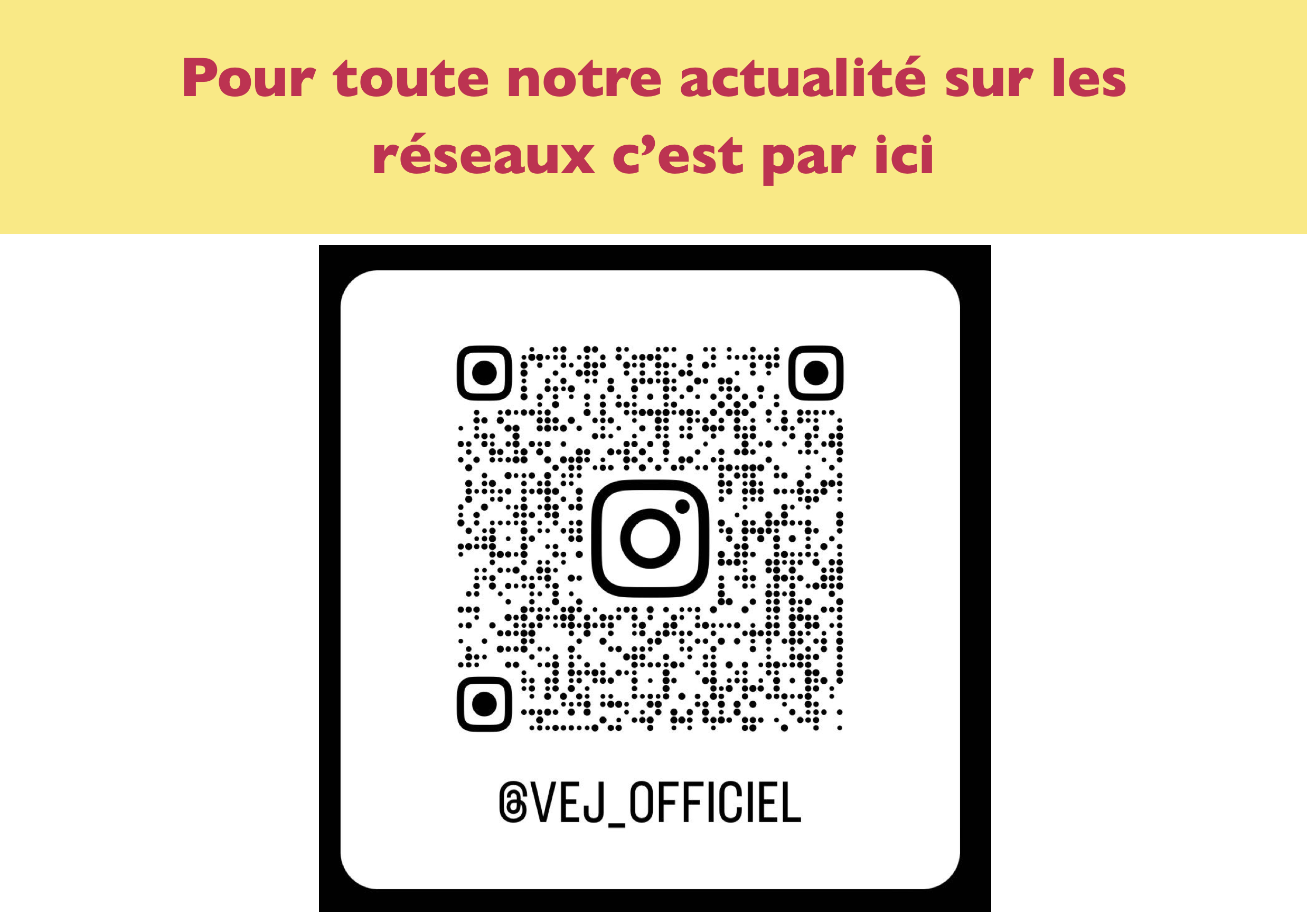 VEJ QR CODE